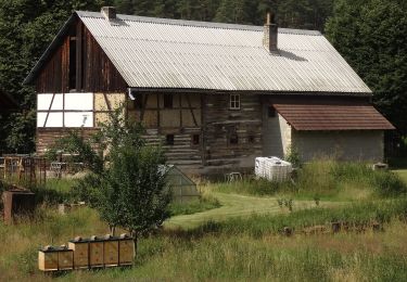 Randonnée A pied Bělá pod Bezdězem - Okružní Bělá p. B. - Valdštejnsko - Photo