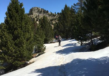 Excursión Senderismo Romeyer - tete du Pison - Photo