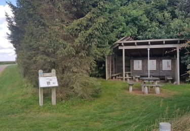 Tocht Te voet  - Bolderslevs Grønne Sløjfer, grøn landrute - Photo