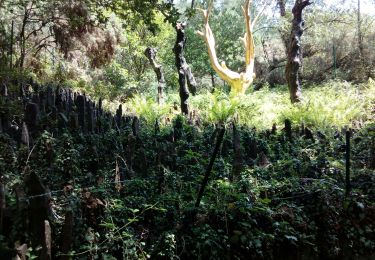 Tocht Wegfiets Merdrignac - Brocéliande - Photo