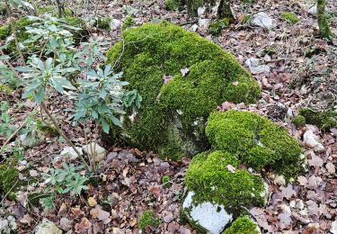 Trail Walking Signes - Plateau de la Limate en partant de Siou Blanc - Photo