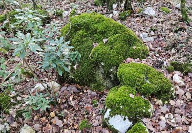 Randonnée Marche Signes - Plateau de la Limate en partant de Siou Blanc - Photo