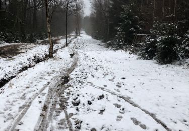 Randonnée A pied Sprimont - Tour de Adzeux 8 Km  - Photo