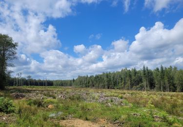 Tour Wandern Viroinval - rando oignies 15 -08-2023 - Photo