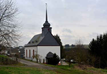 Randonnée A pied Lykershausen - Rheinsteig-Zuweg Prath - Photo