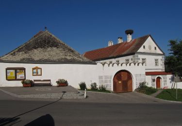 Tocht Te voet Gemeinde Zwettl-Niederösterreich - 5-Dörfer-Weg 57 - Photo