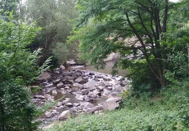 Tour Wandern Sentheim - Sentheim Schirm Knapphutte Sentheim - Photo