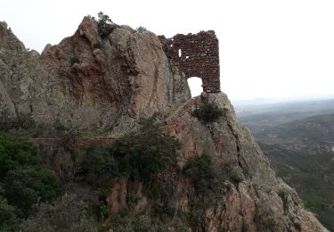 Tocht Stappen Saint-Raphaël - 83 massif de l'Estérel pic du Cap-Roux - Photo