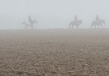 Tour Wandern Gerpinnes - Brouillard  - Photo