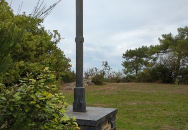 Tour Wandern Guémené-Penfao - 234 - rando de l'étang du rocher Guemene penfao  - Photo