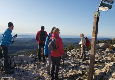 Excursión Senderismo Plan-d'Aups-Sainte-Baume - le col des glacières par les crêtes - Photo