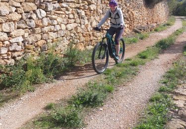 Percorso Mountainbike Mormoiron - Test Cannondale Kiki - Photo