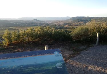 Trail Walking Taradeau - taradeau  - Photo