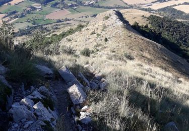 Tocht Stappen Gap - Le Huchon et pic de Charance - Photo