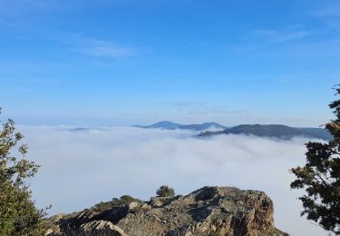 Tour Wandern La Garde-Freinet - balade chateau - Photo