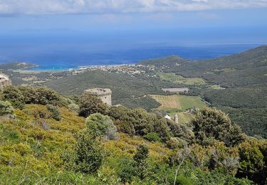 Trail Walking Rogliano - les hauts de ruglianu - Photo