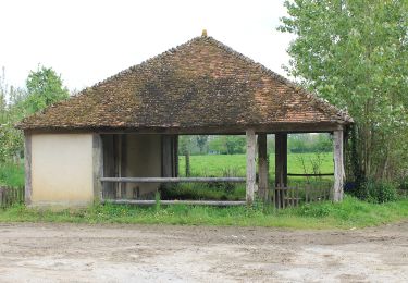 Trail On foot Villers-Canivet - Circuit de Torp - Photo