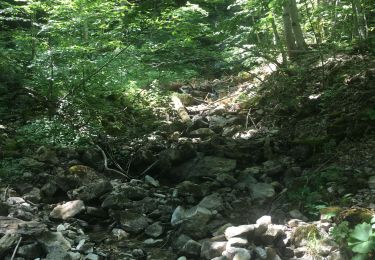 Trail Walking Gex - Rando Seblines - Photo