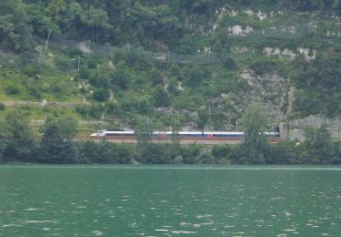 Tour Zu Fuß Nantua - Tour d'Horizon - Photo