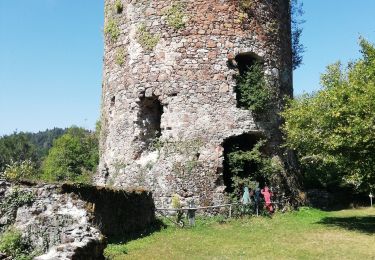 Trail Walking Les Ancizes-Comps - Chartreuse Ste Marie - Photo