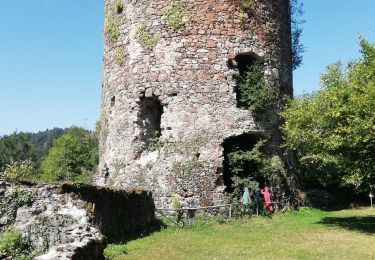 Excursión Senderismo Les Ancizes-Comps - Chartreuse Ste Marie - Photo