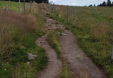 Randonnée Marche Orbey - Tour des 3 lacs (lac noir, blanc, Forlet) Vosges - Photo