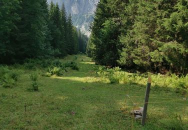 Tour Wandern Morzine - Hauts Fotrs - Photo