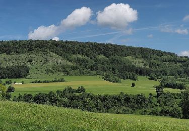 Randonnée A pied Waldstetten - Glaubensweg 14 Christentalweg - Photo