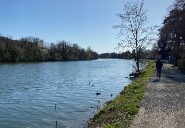 Tocht Stappen Oupeye - Hermalle-sous argentau - Photo