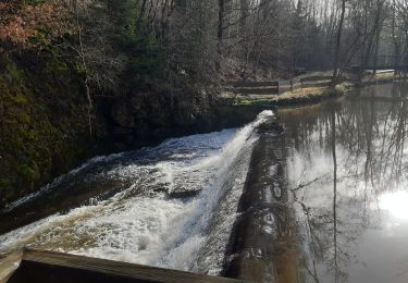 Tocht Te voet Blieberg - Moresnet Tros Bornes - Photo