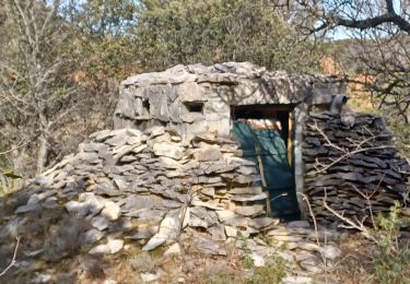 Tour Wandern Châteauneuf-Val-Saint-Donat - CHATEAU NVSD LES JAS. BERGERIES. BORYS. CHAPELLE . LAVOIR. O L M S - Photo