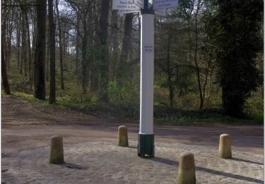 Tour Mountainbike Pont-Sainte-Maxence -  balade en halatte - Photo