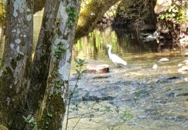 Tour Wandern Valbonne - garbejaire aqueduc romain biot brague - Photo