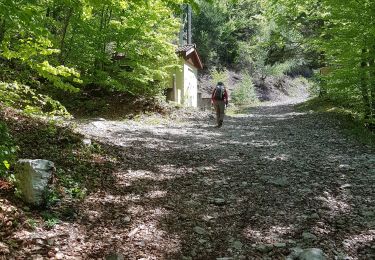 Trail Walking Allèves - Allèles  - Photo