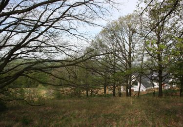 Randonnée A pied Tetčice - Naučná stezka Bučín - Photo