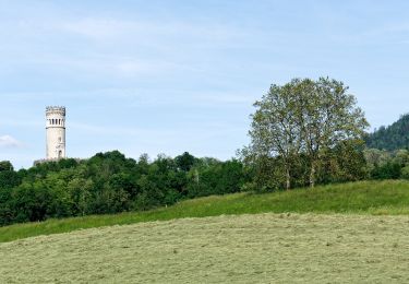 Tour Zu Fuß Saint-Maximin - Randonnée des Hameaux - Photo