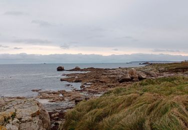 Tour Wandern  - île de sein tout complet - Photo