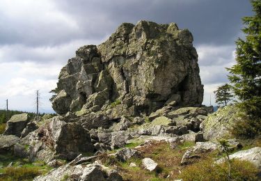 Randonnée A pied Osterode am Harz - Harzklub-Weg 10L - Photo