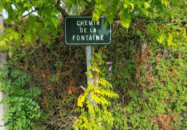Trail Walking Les Andelys - Les Andelys le Mont Pivin - Photo