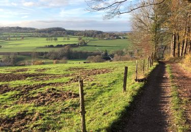 Excursión A pie Sprimont -  Louveigne-Deigne-Louveigne 10Km  - Photo