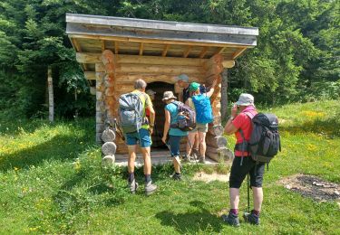 Trail Walking Autrans-Méaudre en Vercors - Le pas de la chevre - Photo