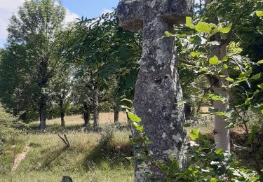 Trail Walking Peyre en Aubrac - les moulins? - Photo