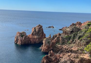 Tocht Stappen Saint-Raphaël - Tour du Dramont - Photo