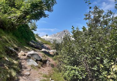 Excursión Senderismo Chamonix-Mont-Blanc - le Péclerey, montroc jusqu'aux Tines juillet 2021 - Photo