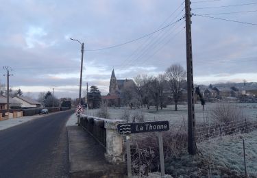 Tocht Te voet Breux - La basilique des Champs - Photo