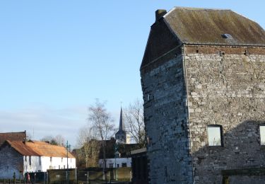 Tocht Stappen Les Bons Villers - Balade à Mellet - Photo