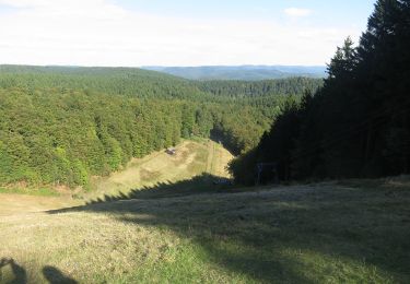 Randonnée A pied Bad Lauterberg - Harzer Baudensteig Etappe 4 - Photo