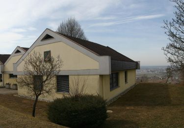 Tocht Te voet Burgauberg-Neudauberg - Kuruzzenwanderweg (Stegersbach) - Photo