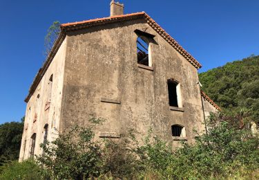 Tour Wandern Fréjus - SityTrail - Le mont vinaigre par colle douce  - Photo