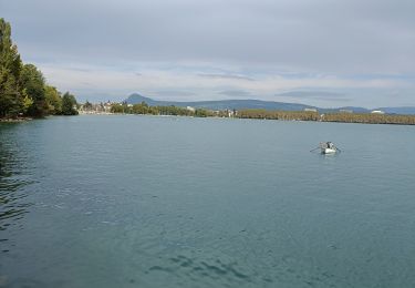 Trail Electric bike Doussard - tour du lac d Annecy  - Photo